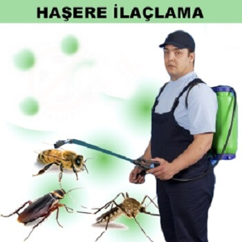 Yıldırım Böcek İlaçlama
